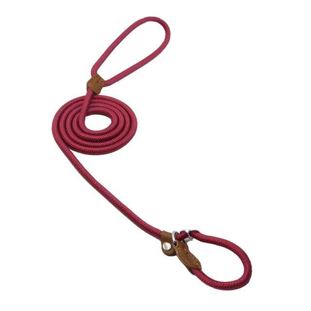 The Everyday Set: Matching Nylon Dog Collar & Leash