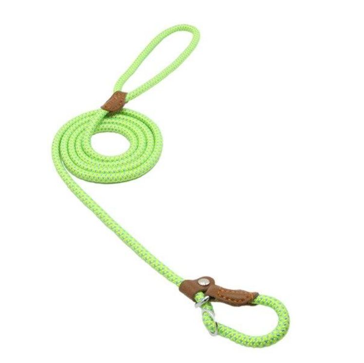 The Everyday Set: Matching Nylon Dog Collar & Leash