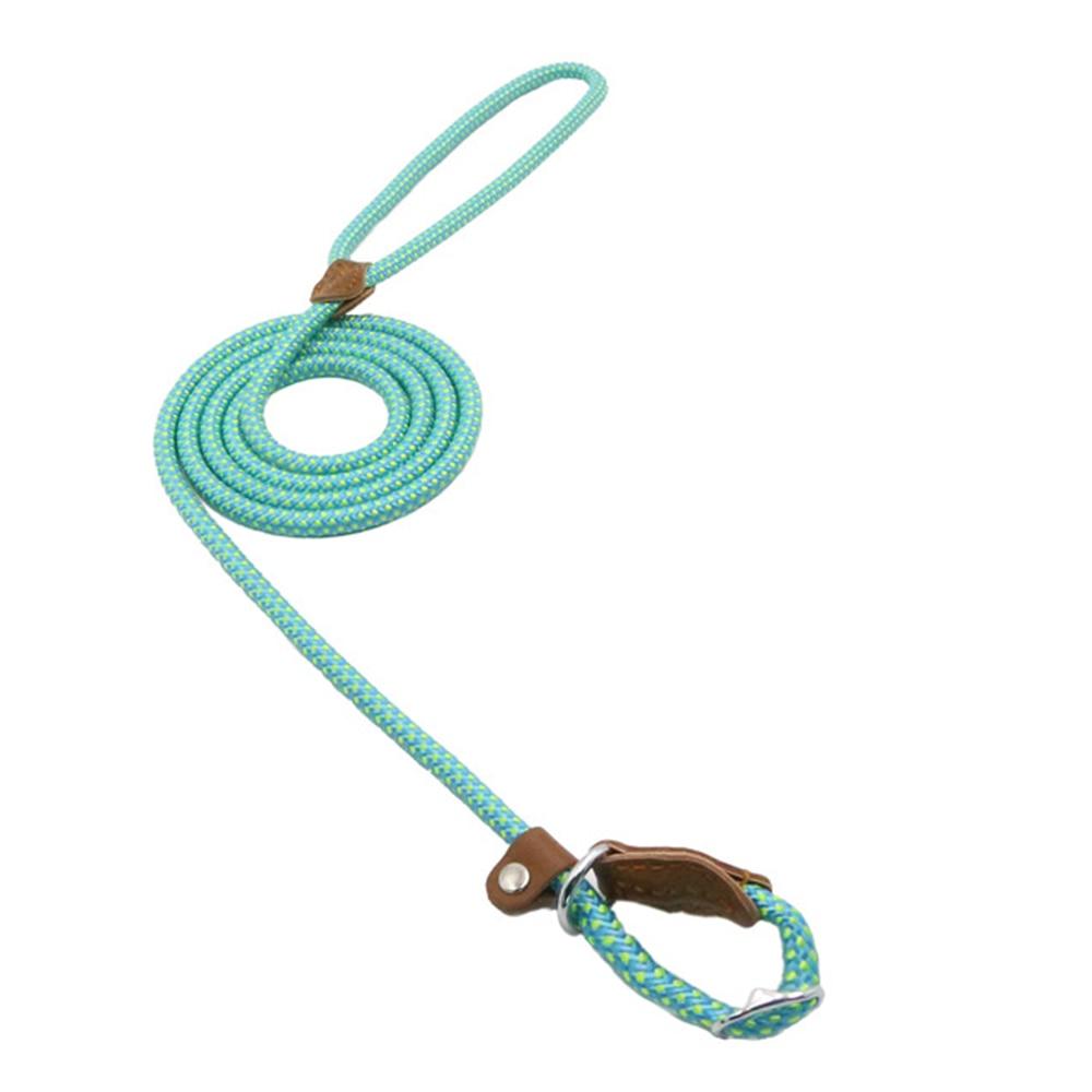 The Everyday Set: Matching Nylon Dog Collar & Leash