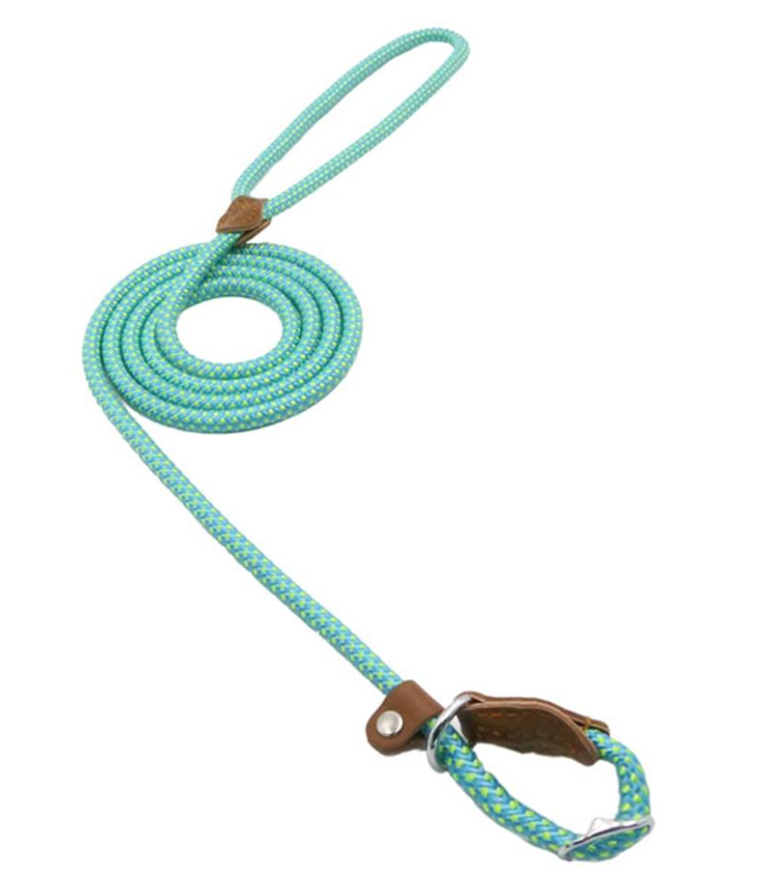 The Everyday Set: Matching Nylon Dog Collar & Leash