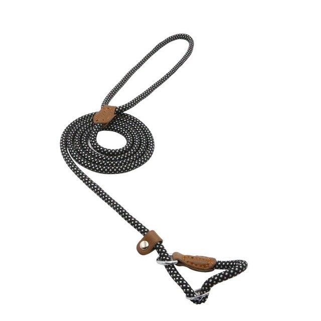 The Everyday Set: Matching Nylon Dog Collar & Leash