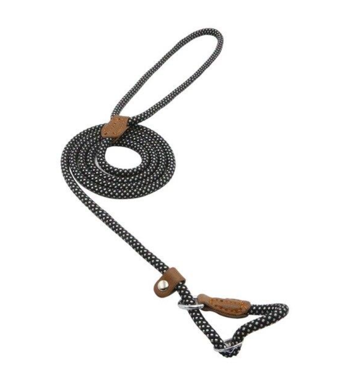 The Everyday Set: Matching Nylon Dog Collar & Leash