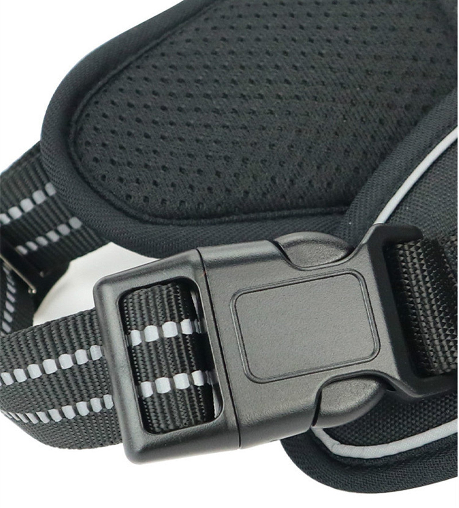 The Trailblazer Harness: Waterproof Dog Harness with Lift Handle