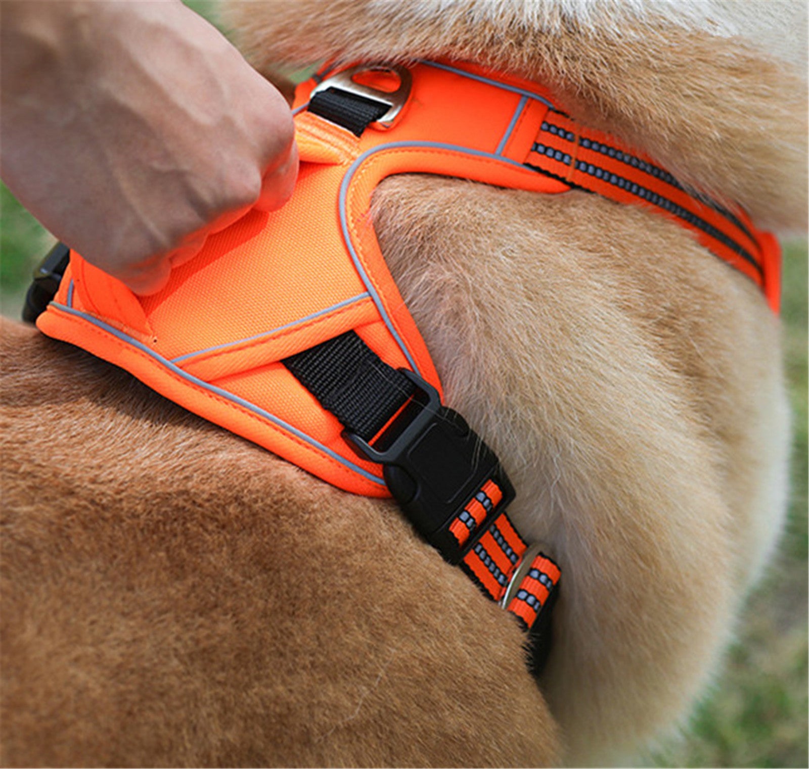 The Trailblazer Harness: Waterproof Dog Harness with Lift Handle