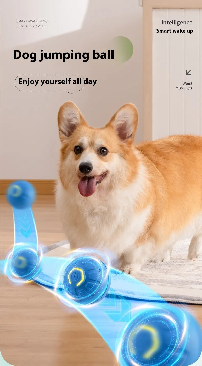 The Ricochet Ball: Smart Interactive Pet Ball
