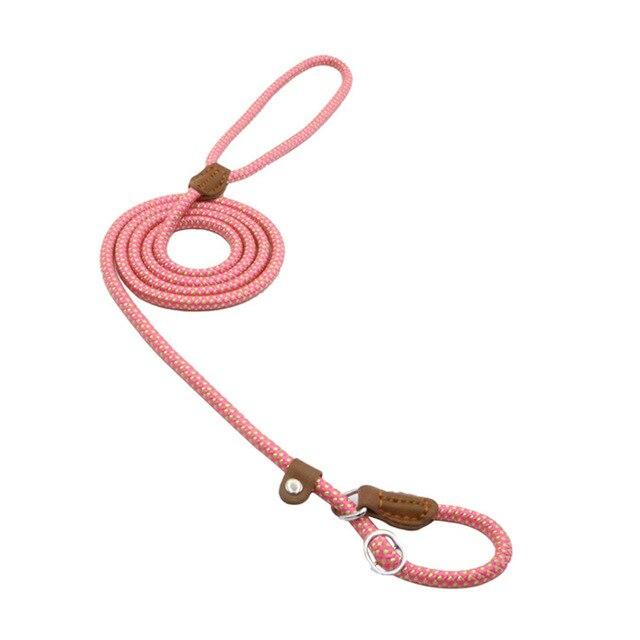 The Everyday Set: Matching Nylon Dog Collar & Leash