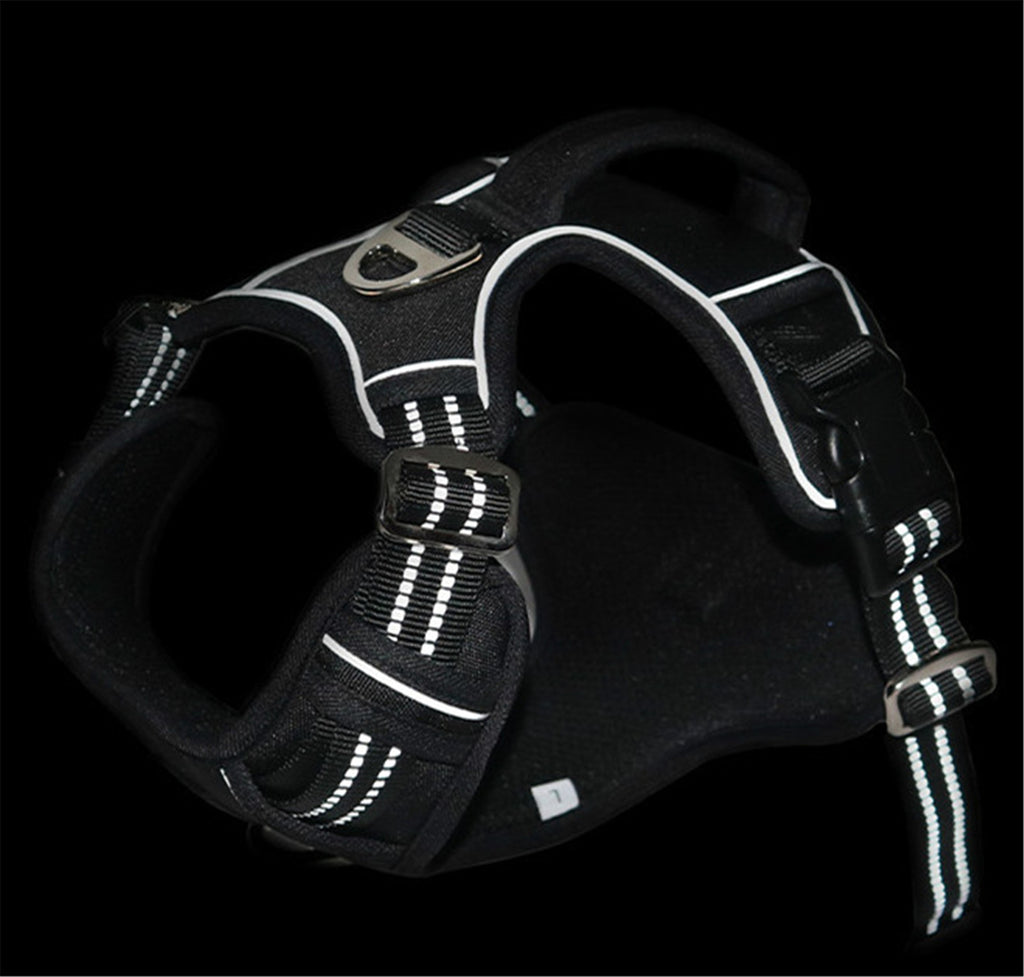 The Trailblazer Harness: Waterproof Dog Harness with Lift Handle