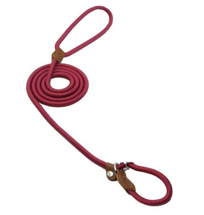 The Everyday Set: Matching Nylon Dog Collar & Leash