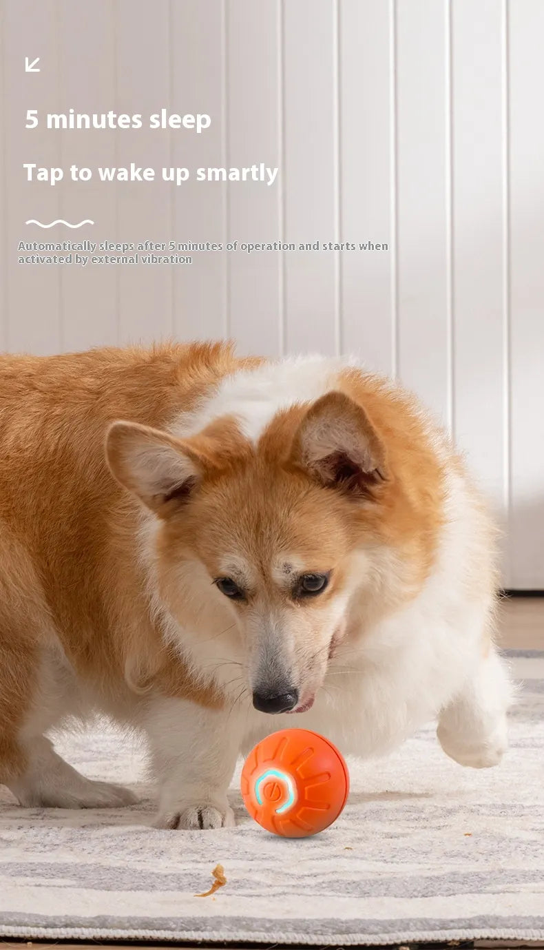 The Ricochet Ball: Smart Interactive Pet Ball