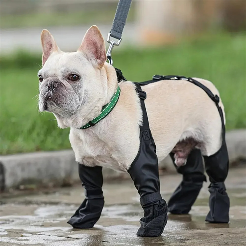 The Puddle Suit: Waterproof Full-Leg Dog Coverings