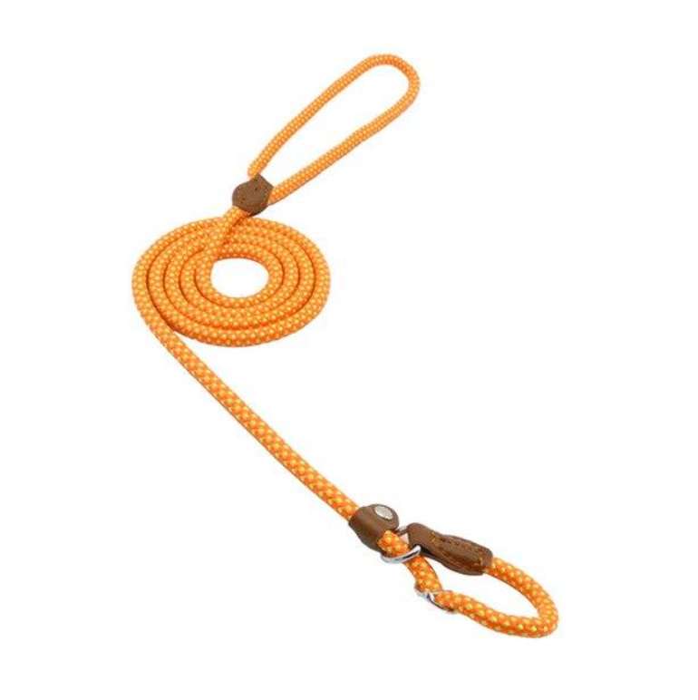 The Everyday Set: Matching Nylon Dog Collar & Leash