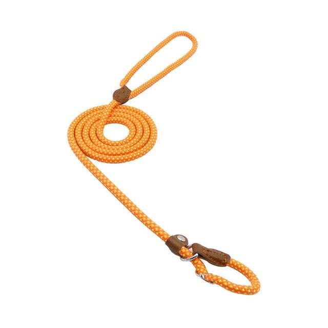 The Everyday Set: Matching Nylon Dog Collar & Leash