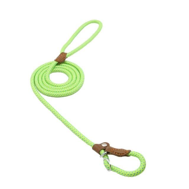The Everyday Set: Matching Nylon Dog Collar & Leash