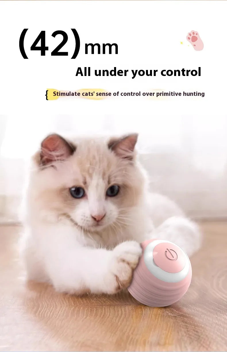 The Ricochet Ball: Smart Interactive Pet Ball