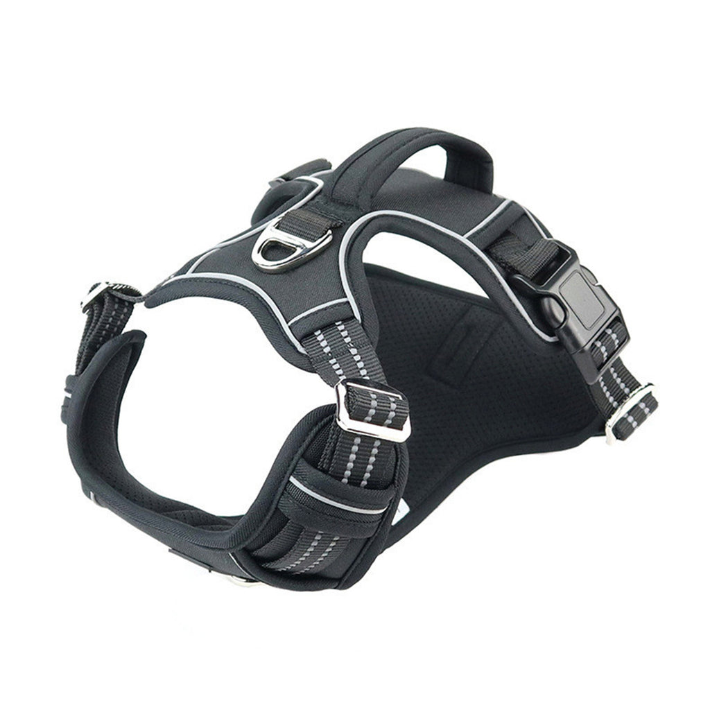 The Trailblazer Harness: Waterproof Dog Harness with Lift Handle