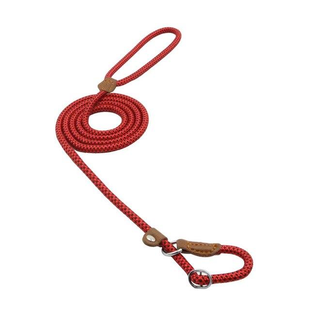 The Everyday Set: Matching Nylon Dog Collar & Leash