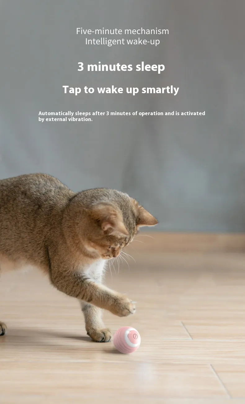The Ricochet Ball: Smart Interactive Pet Ball