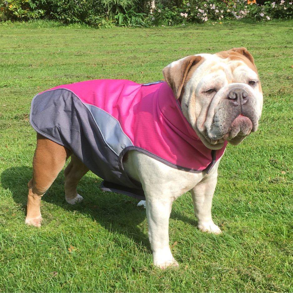 The Storm Coat: Waterproof Insulated Dog Jacket